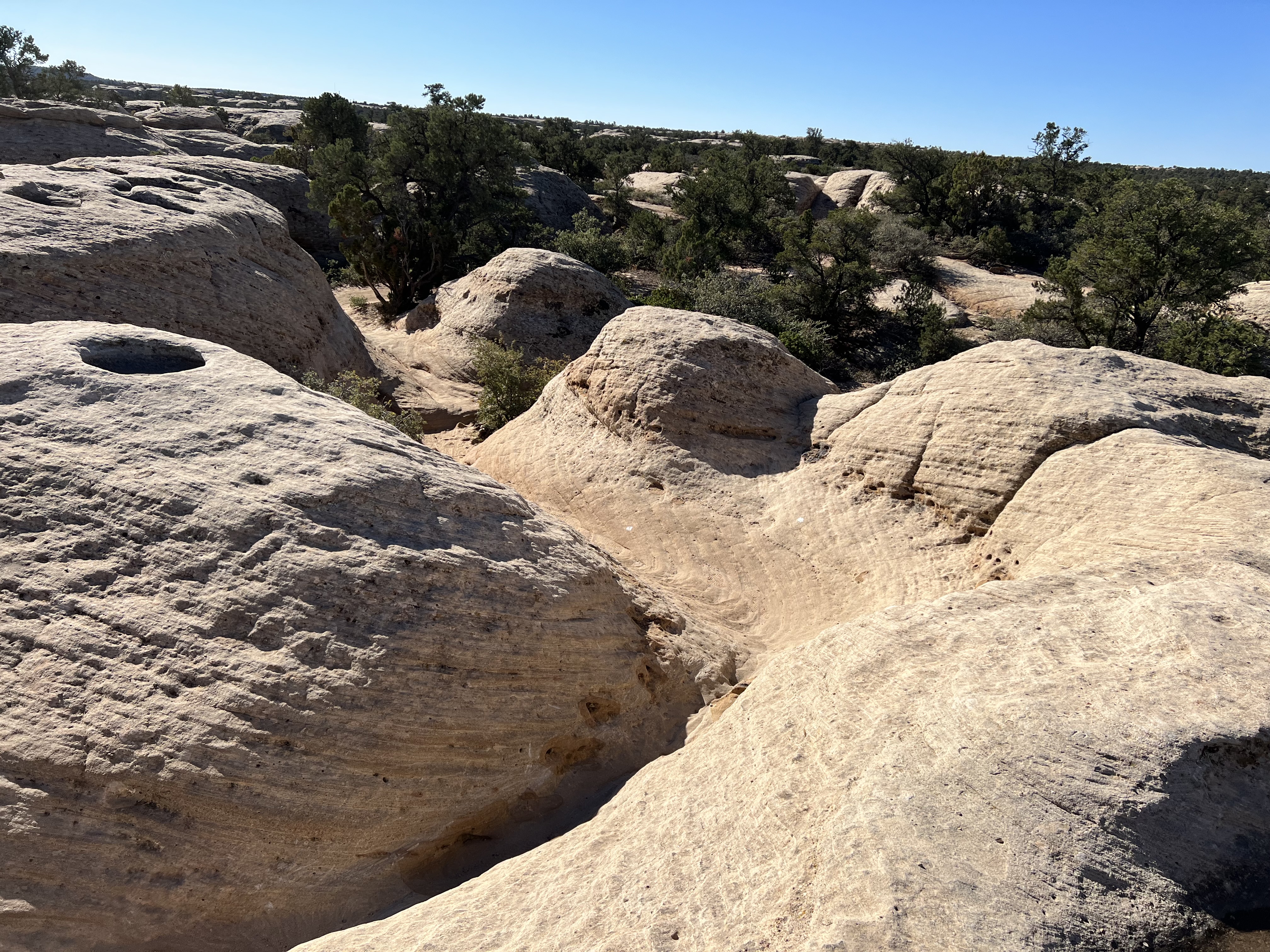 Gooseberry Mesa Mountain Biking