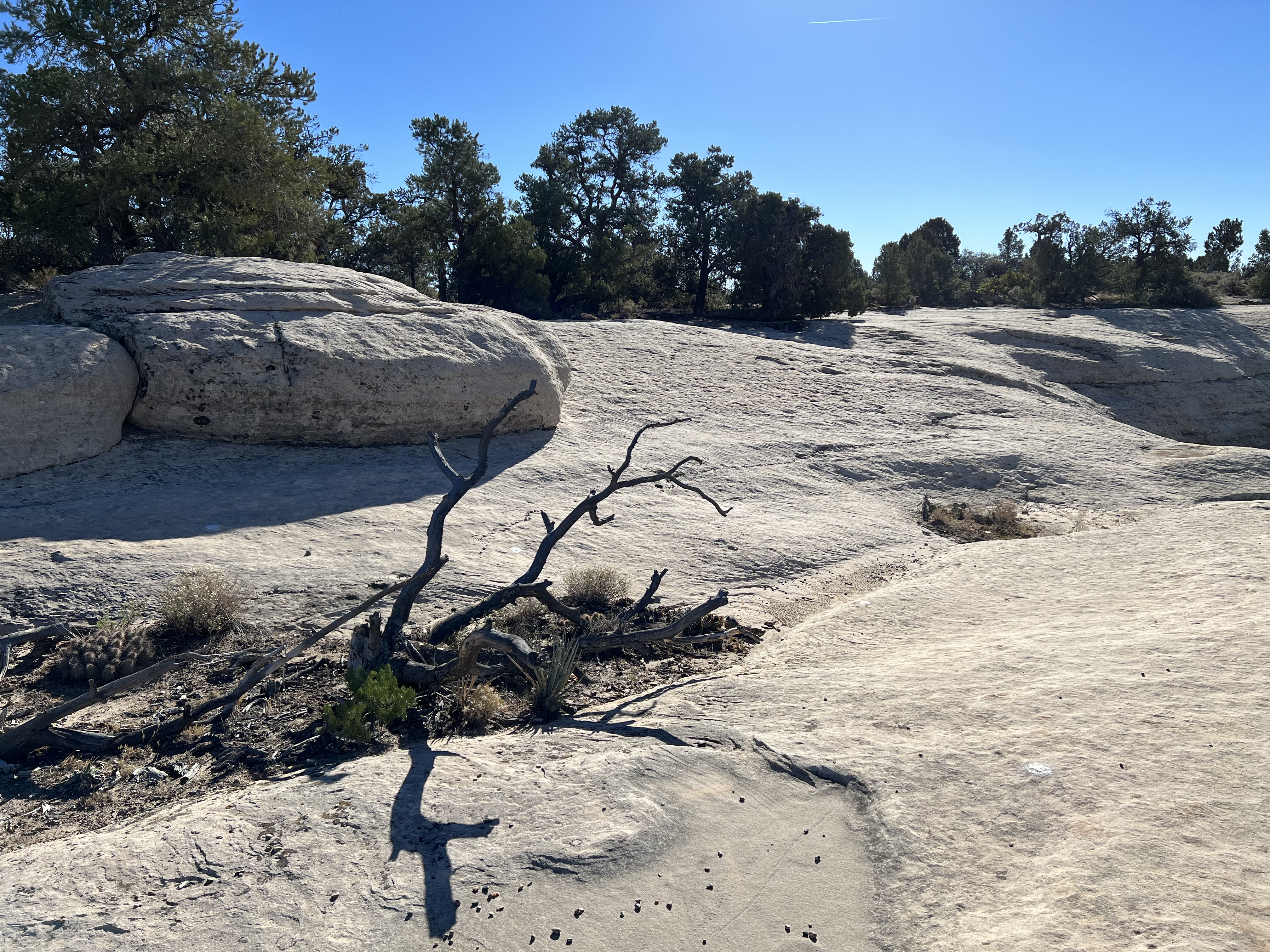 Gooseberry Mesa Mountain Biking