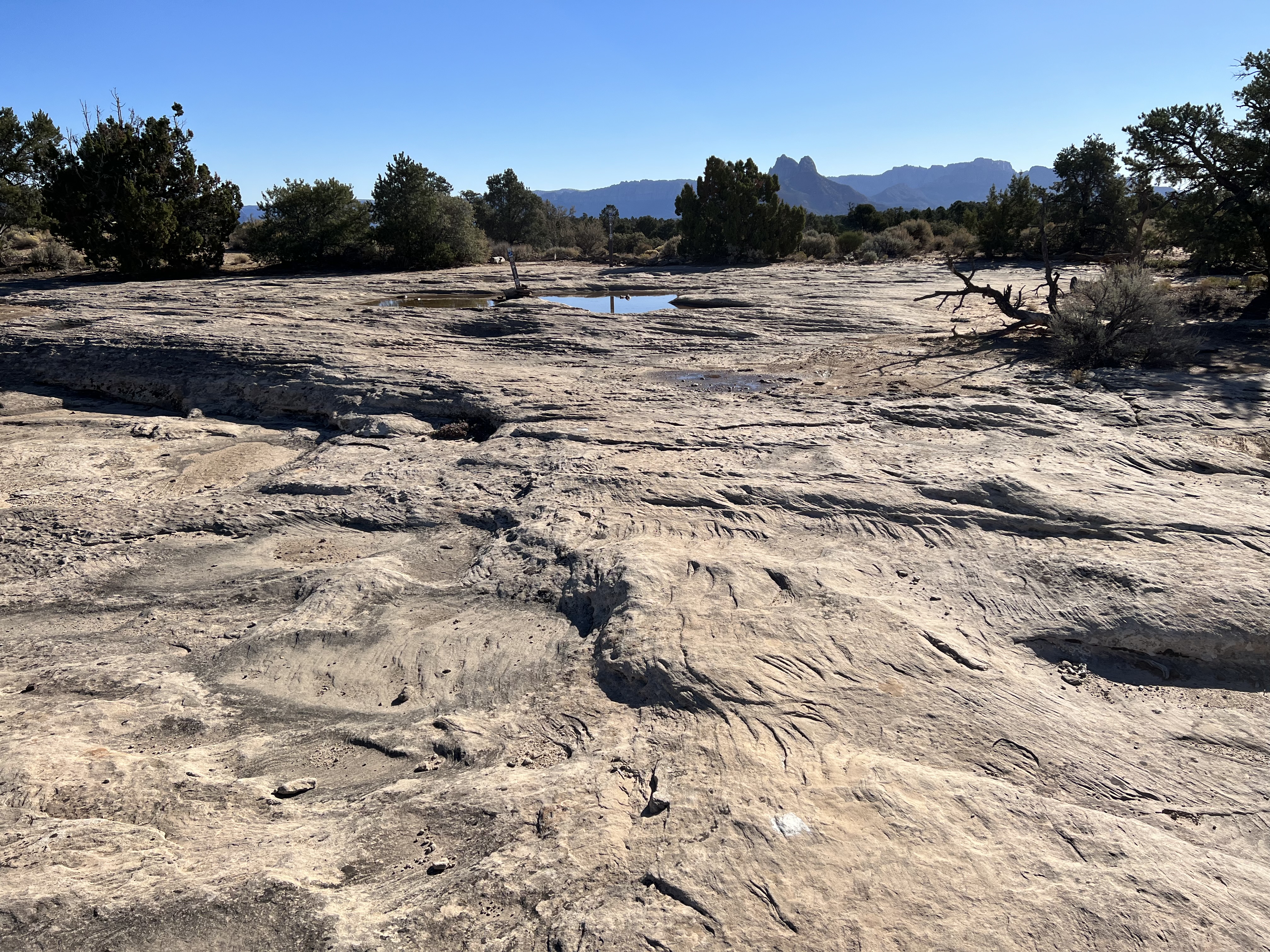 Gooseberry Mesa Mountain Biking