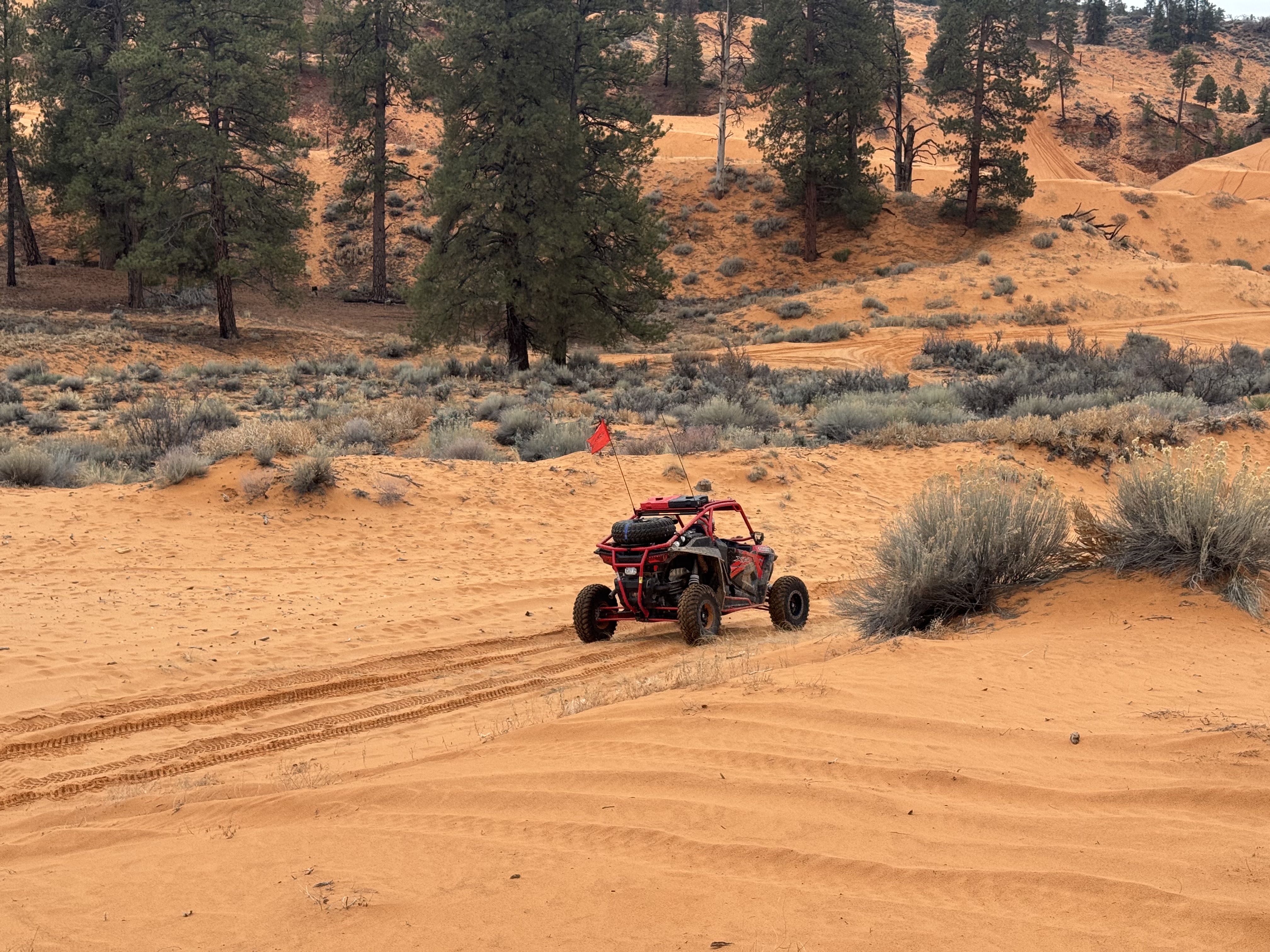 Coral Pink Sand Dunes