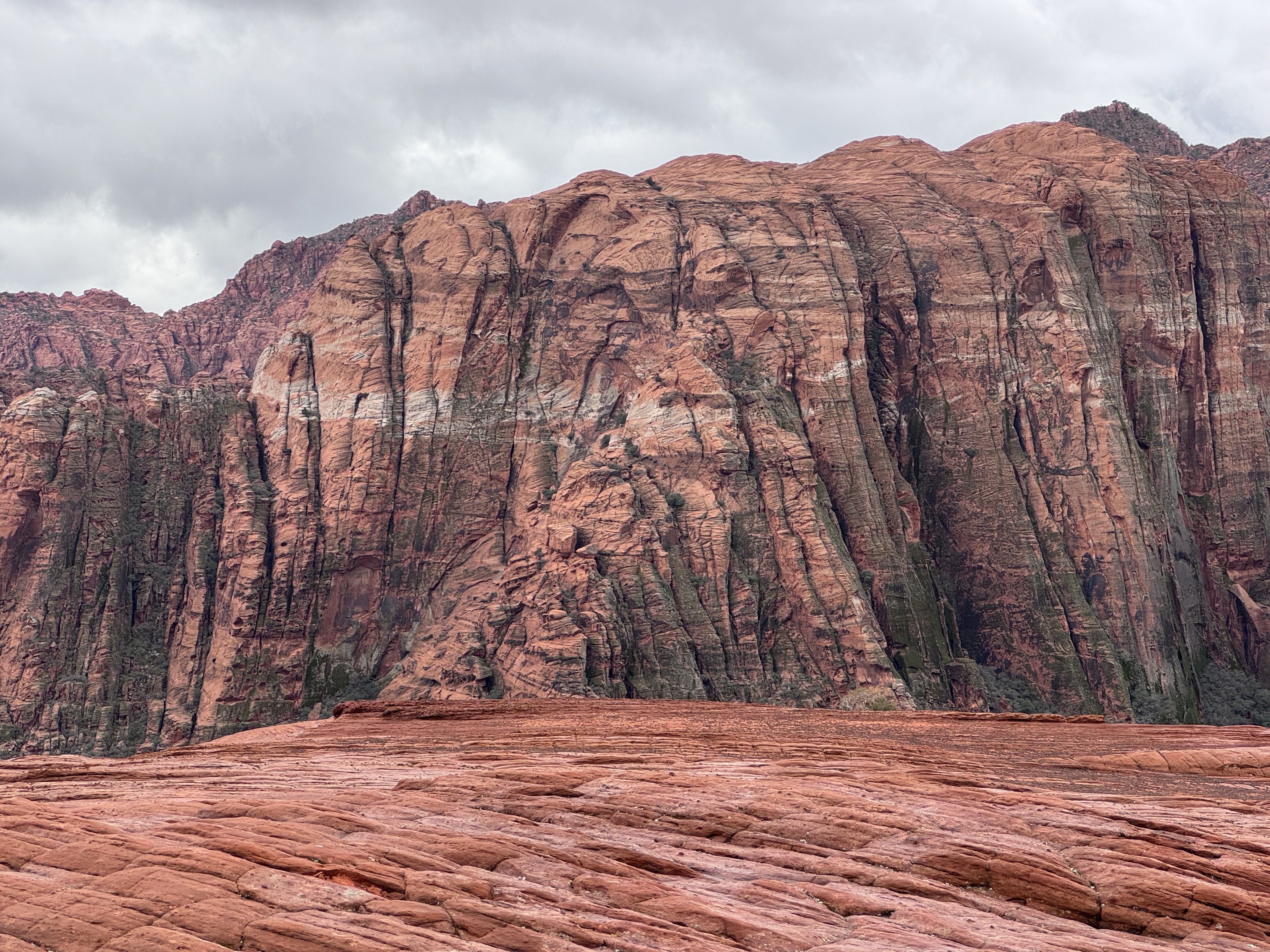 Snow Canyon State Park