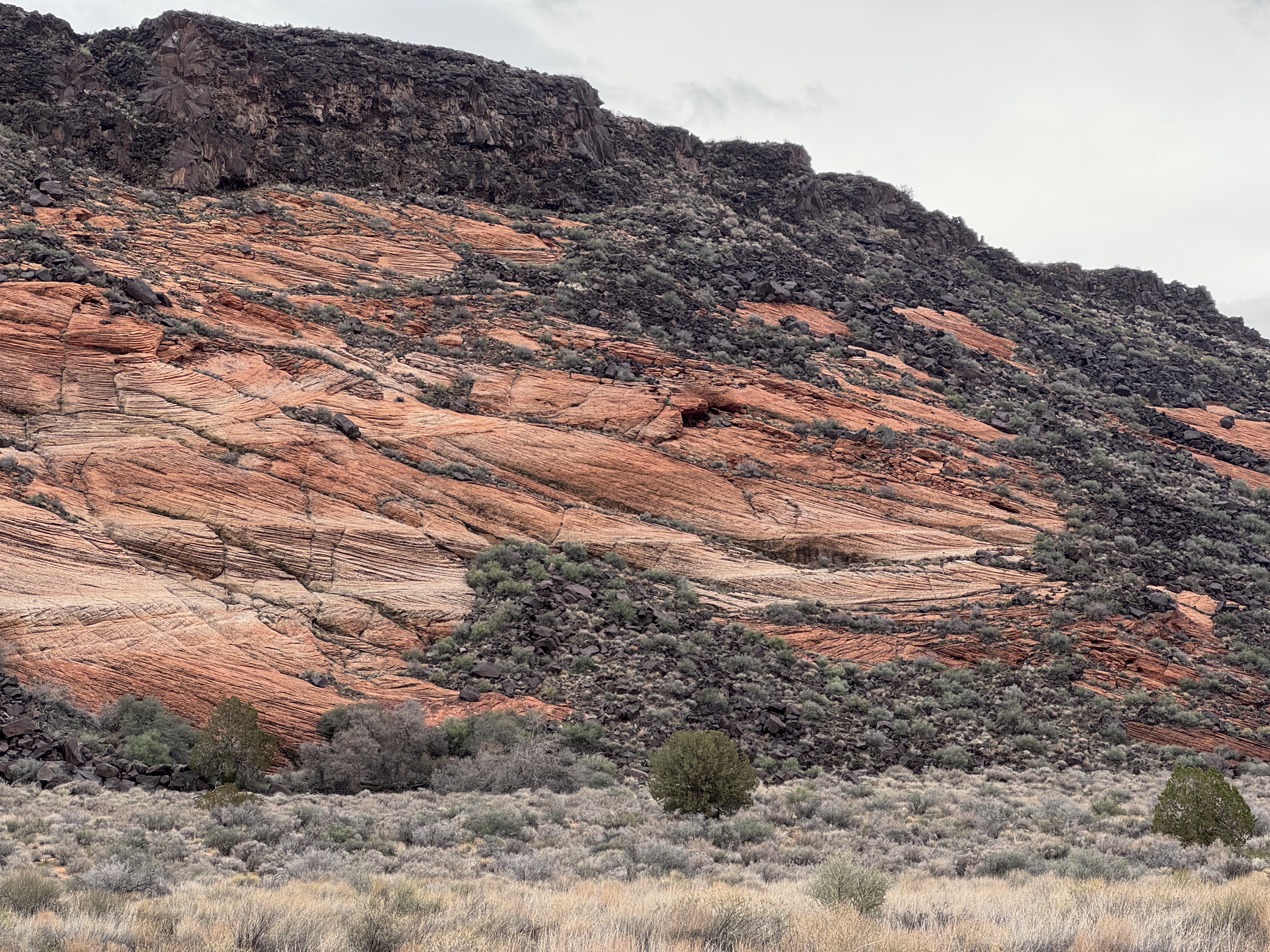 Snow Canyon State Park