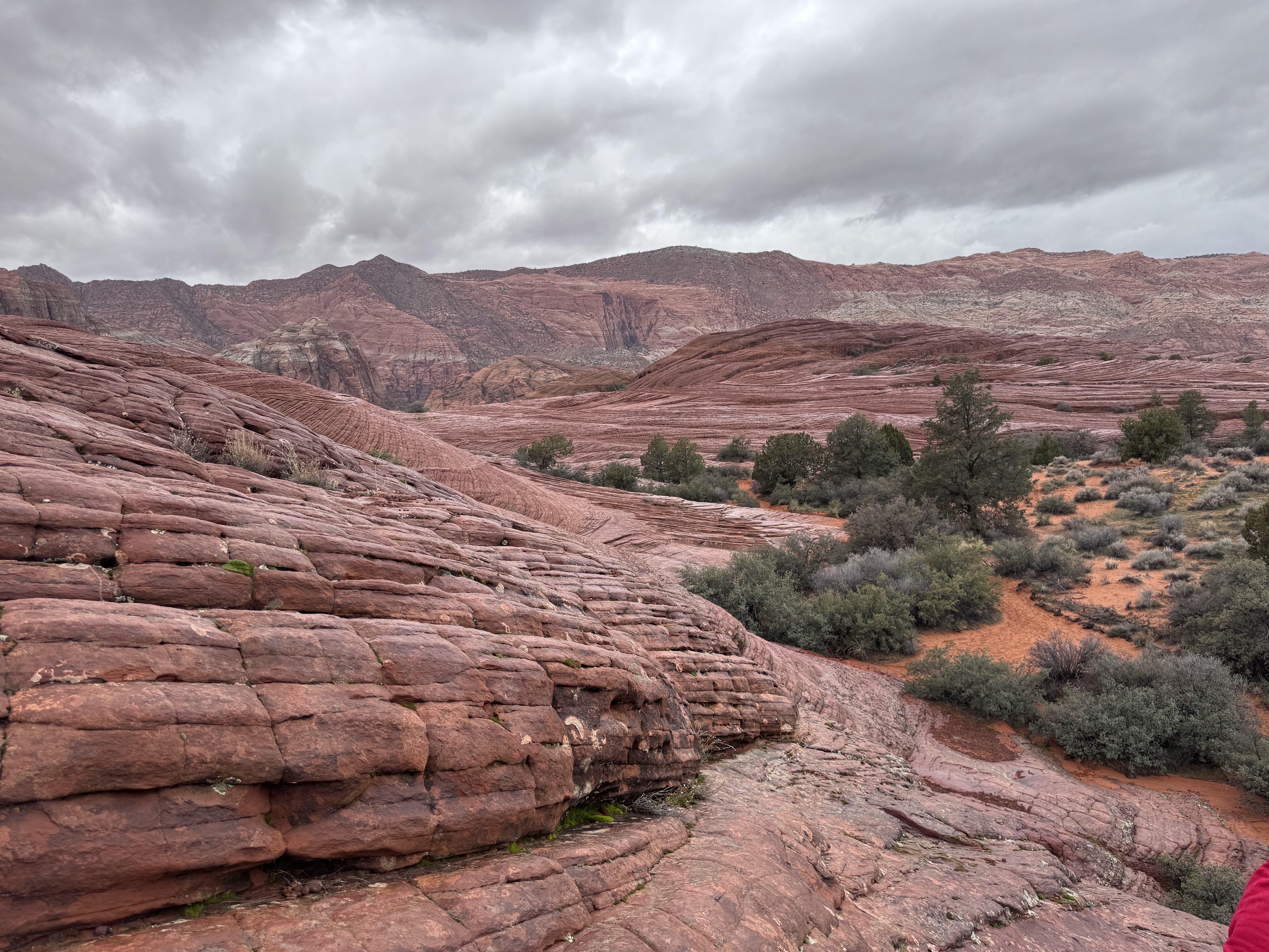 Snow Canyon State Park